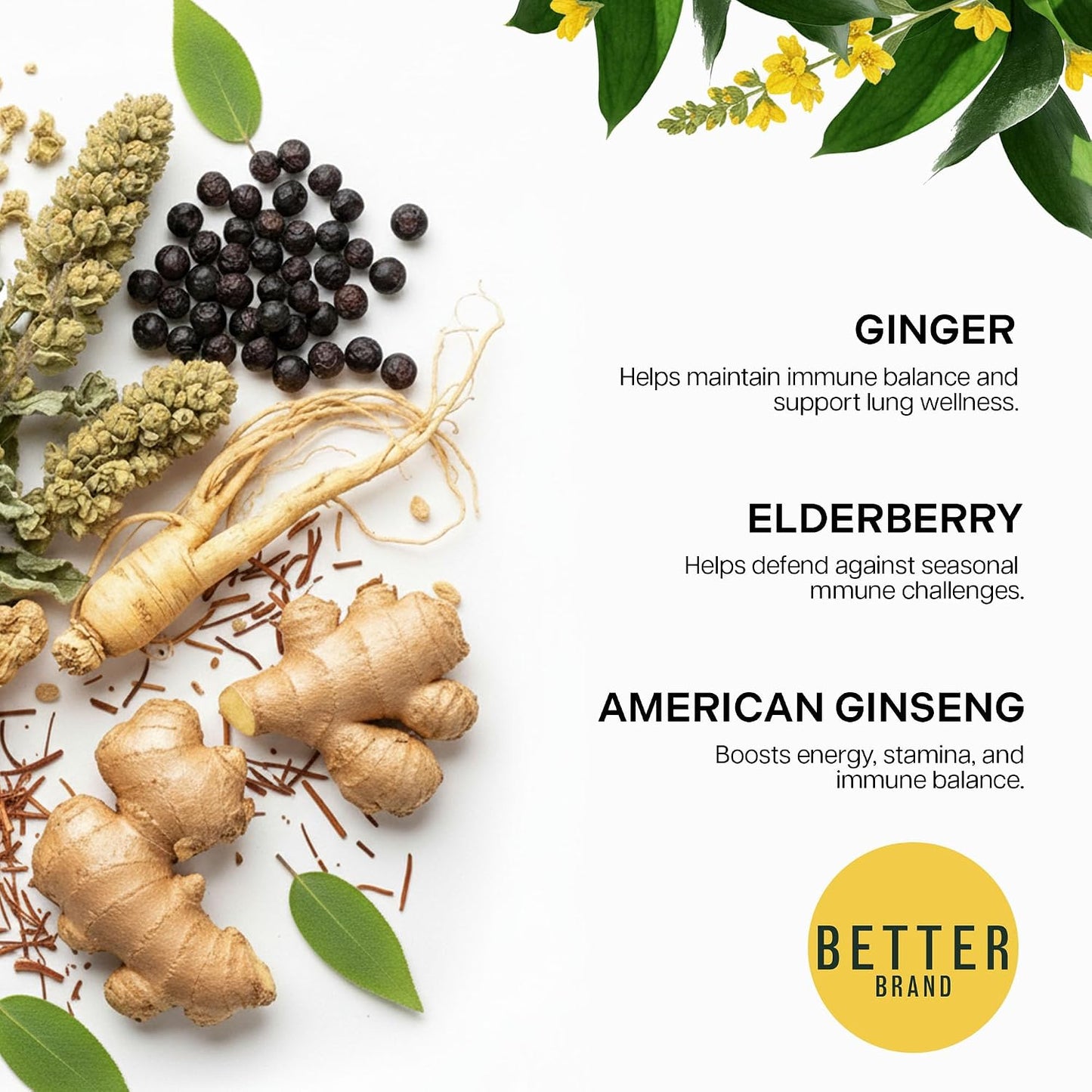 Betterbrand Mullein Tea Bags for Lung Detox - Respiratory Support with Thyme, Elderberry, Ginseng, Ginger, Caffeine Free Herbal Blend