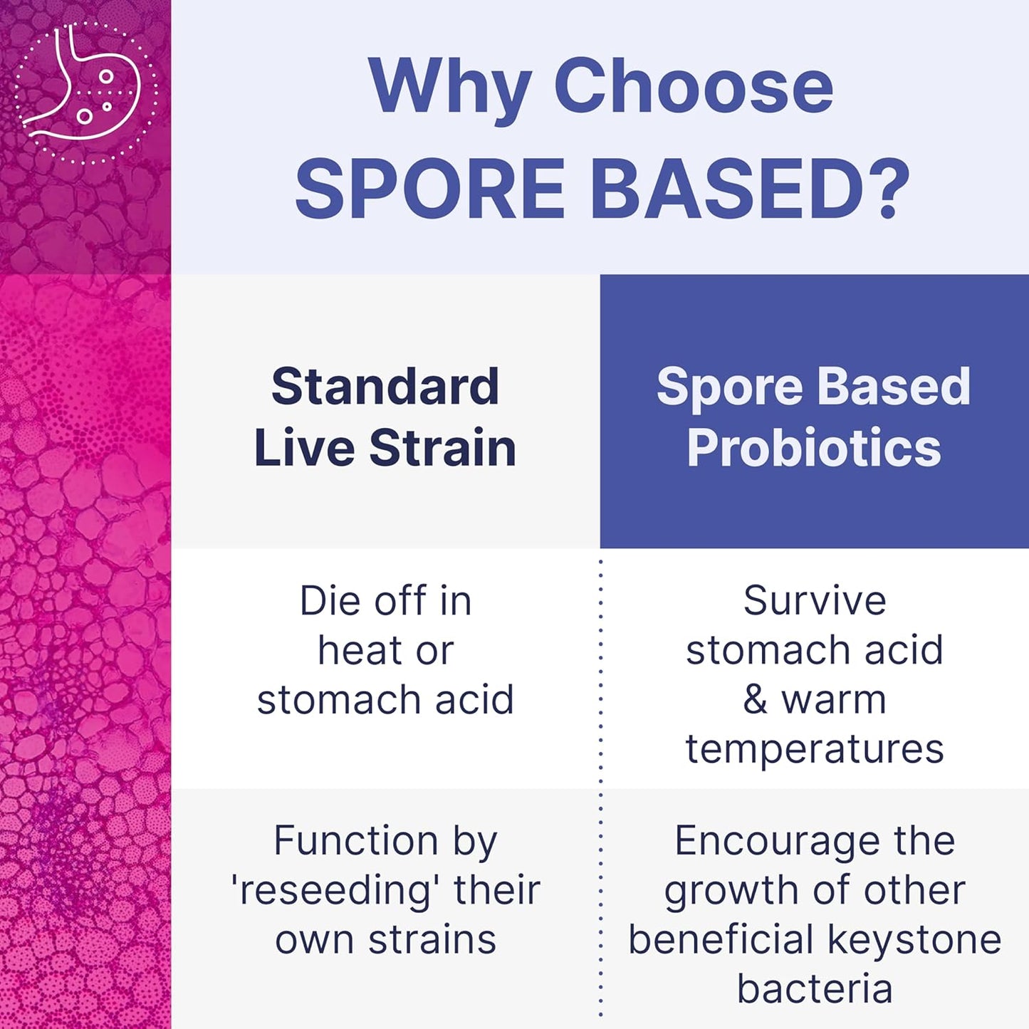 Microbiome Labs Spore Based Probiotic Gummies for Women, Men & Children - MegaSporeBiotic Gummies - 4 Bacillus Probiotics for Digestive Health & Microbiome Support